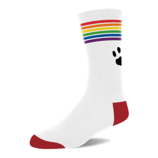 Pride Sokken - Wit/Pride