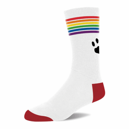 Pride Sokken - Wit/Pride - Afbeelding 3