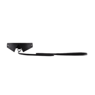 Exclusieve Halsband Leash