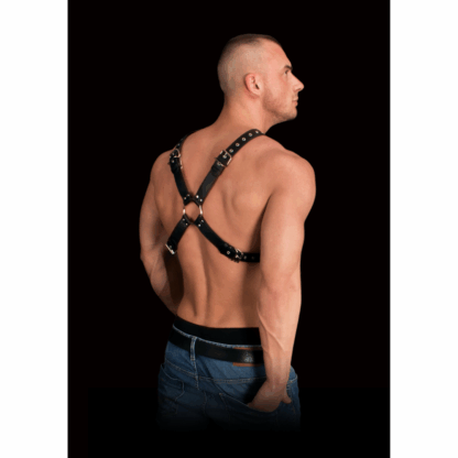 Adonis - Hoge Halter Harnas - Afbeelding 4