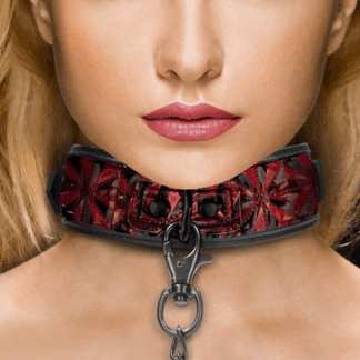 Halsband met Leash