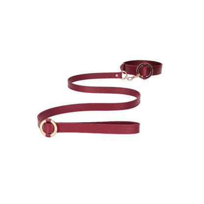 Luxe Halsband met Leash - Afbeelding 4