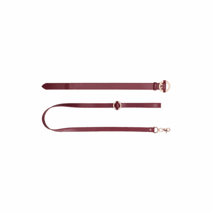 Luxe Halsband met Leash - Afbeelding 5