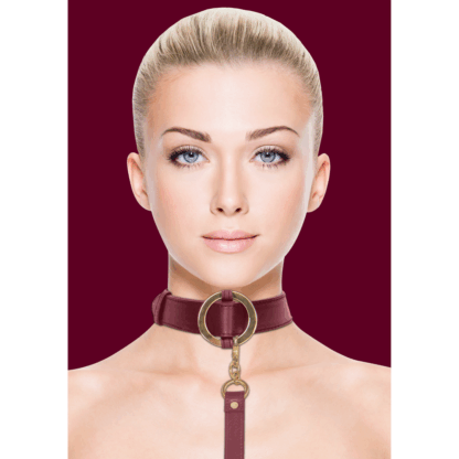 Luxe Halsband met Leash - Afbeelding 7