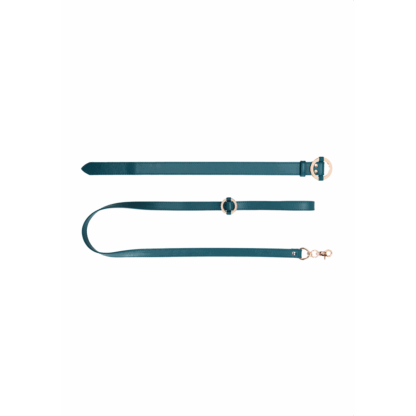 Luxe Halsband met Leash - Afbeelding 5