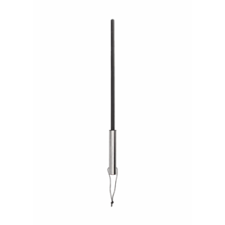 Cane met RVS Handvat