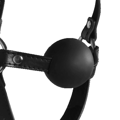 Blindfolded Head Harness met Solid Ball Gag - Zwart - Afbeelding 7