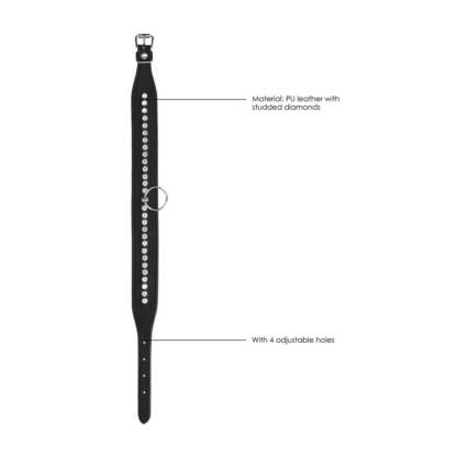 Diamanten Halsband met Leash - Afbeelding 6