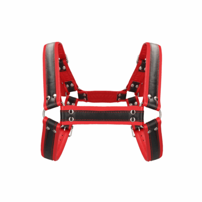 Leren Bulldog Harnas met Gespen - S/M - Afbeelding 4