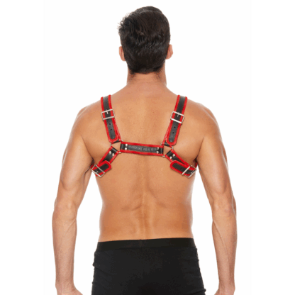 Leren Bulldog Harnas met Gespen - S/M - Afbeelding 5