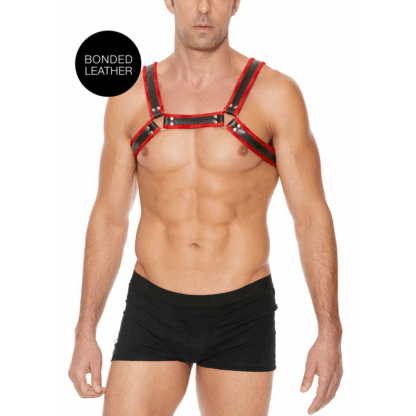 Leren Bulldog Harnas met Gespen - S/M - Afbeelding 7