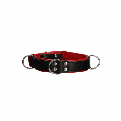 Deluxe Bondage Halsband - One Size - Afbeelding 4