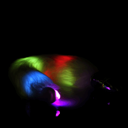 Lichtgevende vossenstaart met metalen buttplug - Afbeelding 5