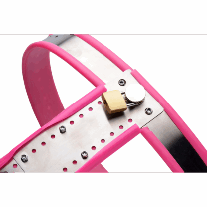 Roestvrijstalen Verstelbare Vrouwen Kinky Chastity Belt - Roze - Afbeelding 5
