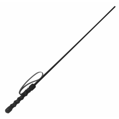 Intense Impact Cane - Zwart - Afbeelding 2