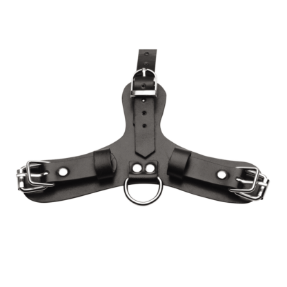 Pup - Puppy Speelmasker + Ademend Ballgag - Afbeelding 5