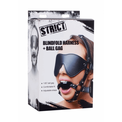 Oogmasker met Ballgag Harness - Afbeelding 2