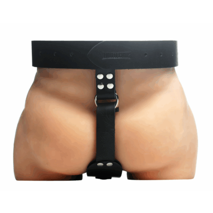 Butt Plug Harness voor Mannen - Afbeelding 2