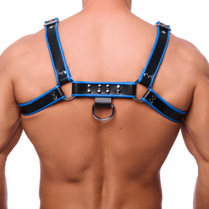 Premium Leren Harnas - L/XL - Zwart/Blauw - Afbeelding 2