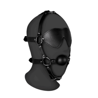 Blindfolded Head Harness met Solid Ball Gag - Zwart