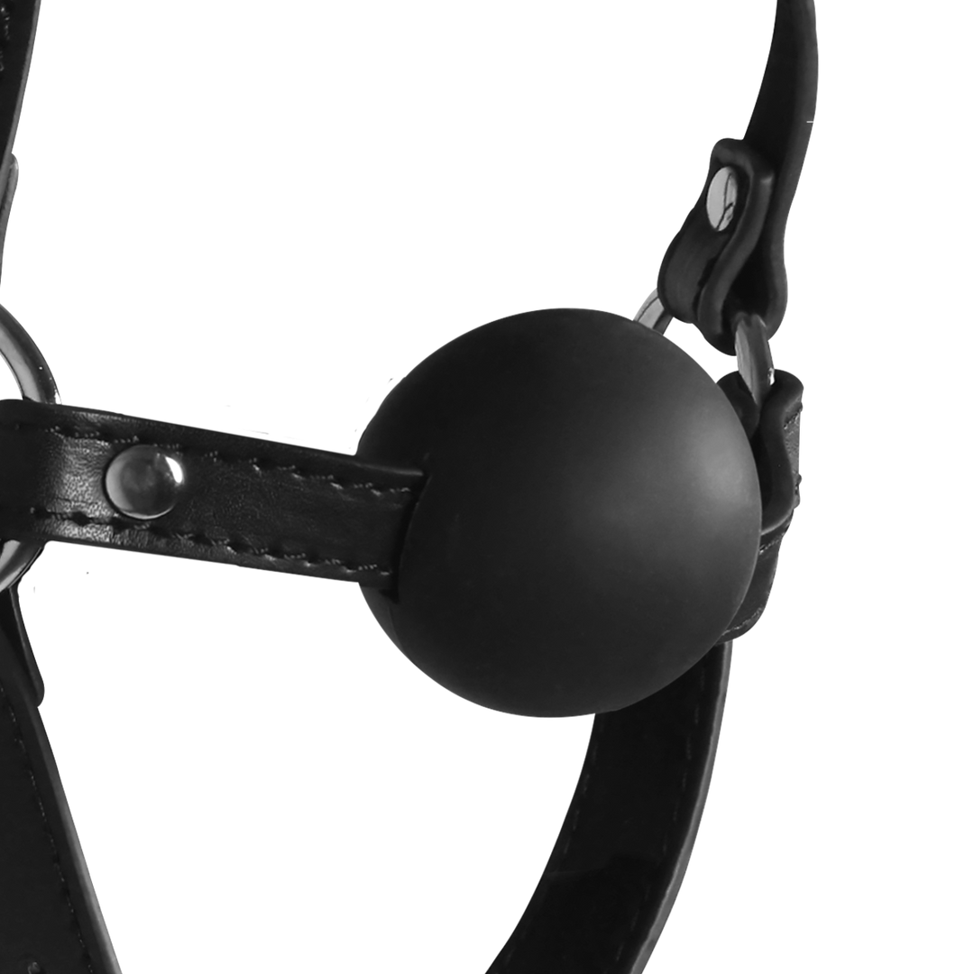 Blindfolded Head Harness met Solid Ball Gag - Zwart - Afbeelding 7