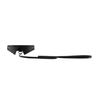 Exclusieve Halsband Leash
