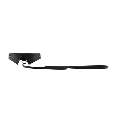 Exclusieve Halsband Leash