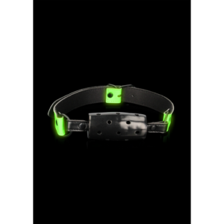 Cylinder Gag - Glow in the Dark
