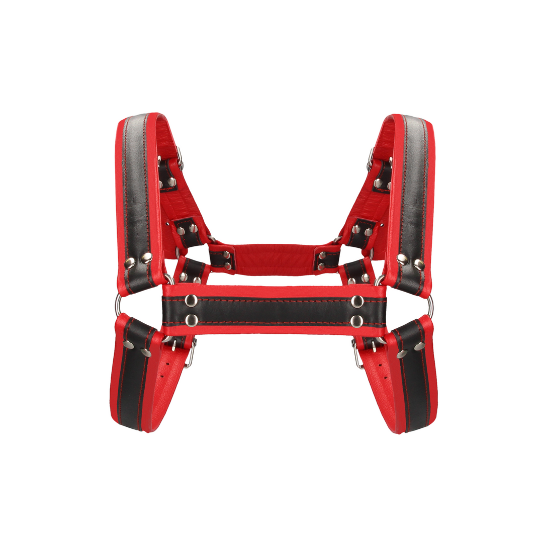 Leren Bulldog Harnas met Gespen - L/XL - Afbeelding 4