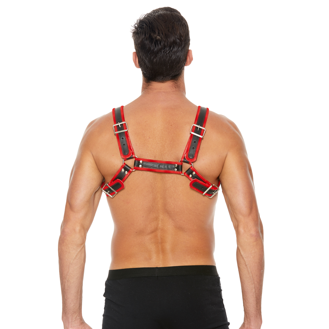 Leren Bulldog Harnas met Gespen - L/XL - Afbeelding 5